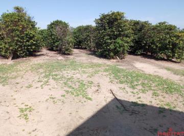 Foto 01 · Vende se Fazenda  região de Garça