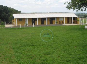 ca93e0ca927946050c2d8e9925ff9bf18bb5ee80 · (CH-148) Chácara com 3 dormitórios à venda, 2422 m² por R$ 450.000 - Nova São Pedro II - São Pedro/S