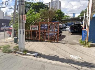 Terreno · 226m² · TERRENO A VENDA EM SANTO AMARO