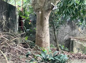 Terreno · 290m² · 1 Quarto · Terreno com 1 quartos à venda em Horto florestal - SP