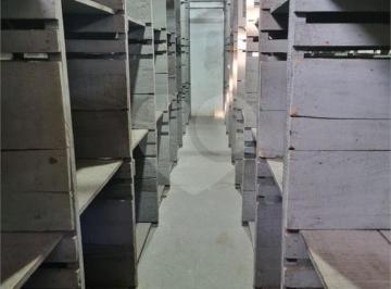 Comercial · 1000m² · Prédio inteiro à venda em Jardim santa terezinha (zona leste) - SP