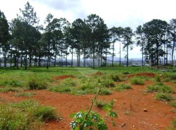Terreno · 23609m² · Terreno à venda em Pinheirinho - SP