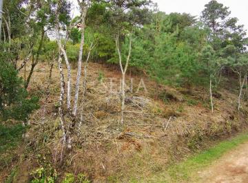 sena-imoveis · Terreno / Venda