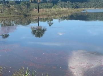 bde70c923b2ee01a9cb66b5996429189.jpeg · Fazenda / Sítios / Chácaras à venda em Paraopeba, no bairro Zona Rural