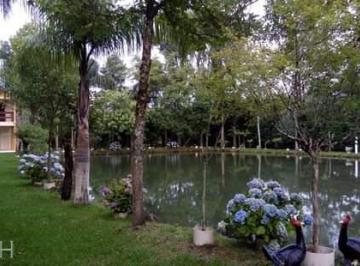 35602133_g.jpg · 
                                Excelente sítio com casa, em condomínio fechado, em Vila Seca 
    