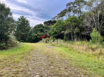Terreno · 680m² · Lote em  Rua 16 - Colinas - São Francisco de Paula/RS
