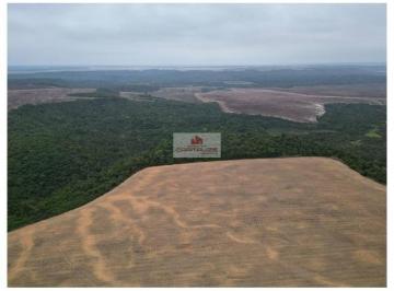 068e6002e02ca7e3819ed7315eea2f19.jpg · Fazenda na região de Paragominas-PA, com 3566 hectares, com área útil de 2.270 hectares, sendo 2.150