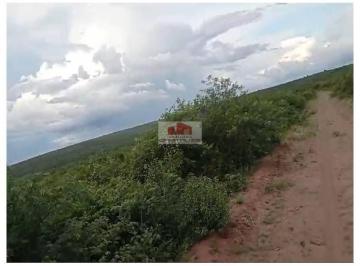 72b023e02d19348641208ca0d97908bc.jpg · Terreno Rural com 65 hectares, próprio para loteamento, instalção de indústria