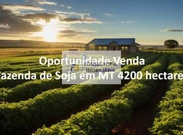 Rural · 4200ha · Fazenda de Soja em Mato Grosso