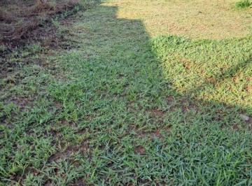 202503011136419721.jpeg · Terreno para Venda em Várzea Paulista, Chácaras Santa Martha