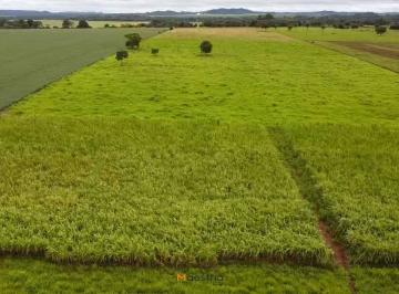 Rural · 230000m² · 5 Quartos · 200 Vagas · Vende-se sitio com frente para a MT 208 (asfaltada) em em Terra Nova do Norte-MT
