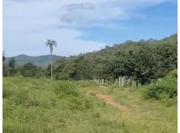Rural de 3 quartos, Minaçu · VENDO FAZENDA DOC 100%PARA CRICAO DE GADO E PECUÁRIA- AC IMOVEL E CARRO NA NEG!