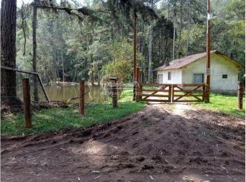 Terreno , São Bento do Sul · Terreno Rural - Rio Vermelho Estação - SÃO BENTO DO SUL - SC