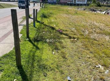 26251_i3292rh3js7422_2625167c891f97d4f8.jpg · Imoveis - em Vargem Grande