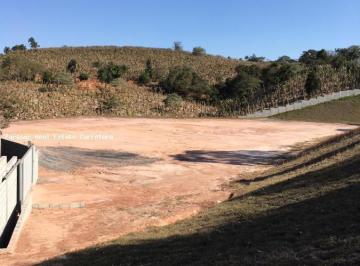 20220520103718429.jpg · Terreno para Venda em Francisco Morato, Industrial, 1 banheiro, 99 vagas