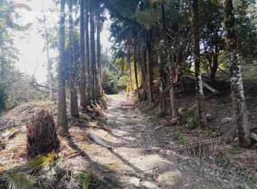 Rural · 10m² · 2 Quartos · Sítio em 2 Irmãozinhos - Sete Barras