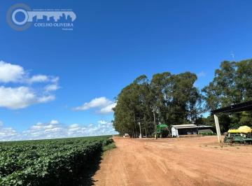 Rural · Fazenda em zona rural  -  Sinop MT