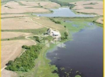 684633_i57o5_68463367c5e987a08af.jpg · Fazenda com Plantação de Soja e Grande Potencial Produtivo