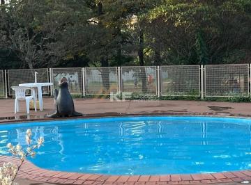 Apartamento · 76m² · 3 Quartos · 1 Vaga · Apartamento em Parque Residencial Lagoinha, Ribeirão Preto/SP