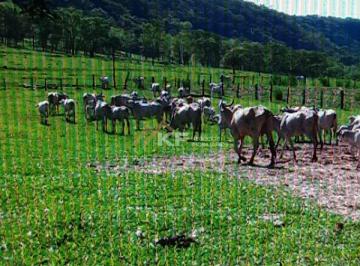 Rural · 5 Quartos · Fazenda Fazenda