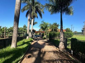 Comercial · 5830m² · VENDA | Negócio, em Jardim Paraíso, Maringá