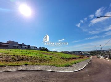 202502191622044041.jpg · Terreno para Venda em Pinhais, Jardim Amélia