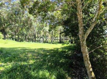 668455_i8g95Bcj_66845567a3c20f923f1.jpg · TERRENO NA PRAIA DO OUVIDOR - GAROPABA/SC