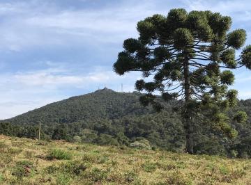 Terreno , Gonçalves · Terreno Alto e frio (06 alqueires com floresta, rio e nascente).