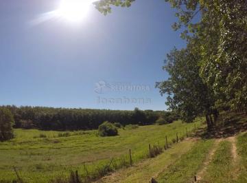 Rural · 1597200m² · Fazenda em Seringueira no interior Paulista no município de Auriflama.