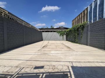 Comercial · 300m² · Galpão, Jardim Peri Peri, São Paulo, Cod: 5825