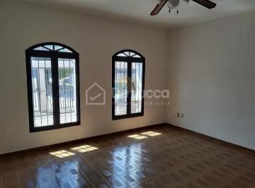 0 · casa para aluguel em Jardim Nova Europa