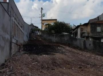 Terreno · 750m² · Terreno à venda em São Paulo-SP, Vila Pereira Barreto: 750m² de oportunidade única!