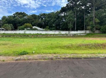frente do terreno 3 · Ótimo terreno no Ferraria, em Campo Largo, 20 min de Curitiba