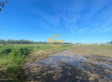 Terreno · 15712m² · Terreno à venda, 14 m² por R$ 6.780.000 - Espinheiros - Itajaí/SC