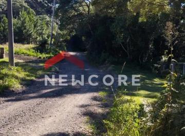 Terreno · 591m² · Lote em  Rua Bracatinga - Colinas - São Francisco de Paula/RS