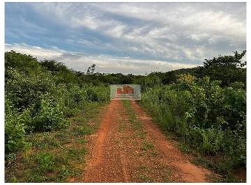 40d7cd58697153d1d0263c06c2a0e8d8.jpg · Fazenda com 535 hectares. com casa sede com 2 quartos