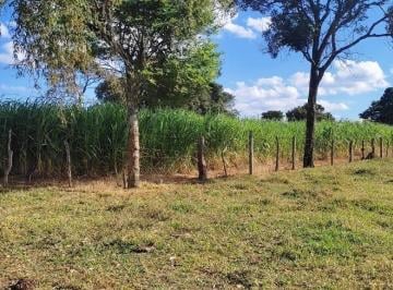 Foto 27 · FAZENDINHA 09 HECTARES RICA DE ÁGUA E TERRA DE CULTURA À VENDA EM DESTERRO DE ENTRE RIOS/MG