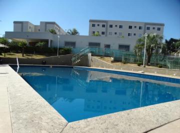 IMG-20250226-WA0009.jpg · Apartamento com 2 quartos e 43 m2 à venda - Bairro Cabral/Contagem