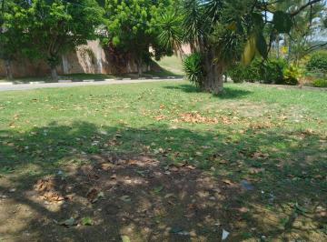 20241021125017567.jpg · Terreno para Venda em Cotia, Jardim Passárgada I