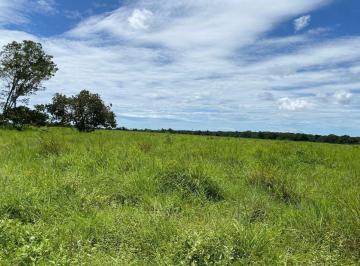 Rural , Araguaçu · FAZENDA 378 ALQUEIRES EM ARAGUAÇU TOCANTINS DUPLA APTIDÃO