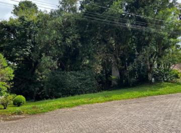 975953.jpg · Terreno - Bairro Centro