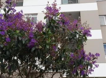Apartamento · 69m² · 3 Quartos · 1 Vaga · Apartamento à venda em Londrina, Aurora, com 3 quartos, com 69.76 m²