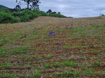 Foto 01 · Área total:  5 alqueires e 21 litros.  Área de lavoura: 4 alqueires e 20 litros. Aproveitamento de 1