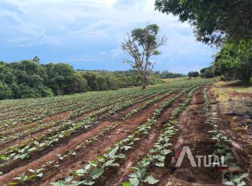 Rural · 47m² · Fazenda de Café Produtiva – 47 Alqueires em Monte Santo de Minas