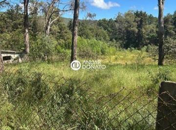 Anuar Donato Venda Terreno Lagoa do Miguelão · Lagoa do Miguelão - Lote / Terreno à venda na Anuar Donato 