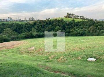 e5322b69afcfc248c2a5659c6a9716f905cb0ea3 · Área à venda, 10083 m² por R$ 8.500.000,00 - Loteamento Residencial Entre Verdes (Sousas) - Campinas