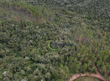 d94f65eeb3ea1c50bde201550e0a45e6c4183c15 · Fazenda à venda, 1210000 m² por R$ 6.000.000,00 - Alto Serra Mantiqueira - Piquete/SP