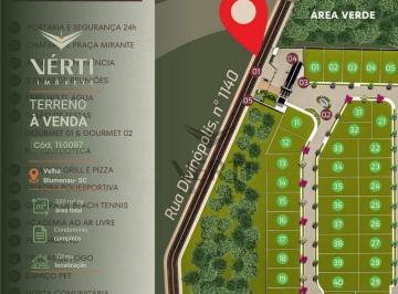 22a252f3693a2bf3ecc9ecd0a7b57ab66dcc1d12 · Terreno à venda, 350 m² - Velha - Blumenau/SC