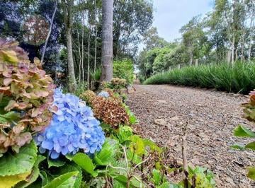 Rural · 5400m² · 3 Quartos · 2 Vagas · Chácara em Bateias de Baixo, Campo Alegre/SC