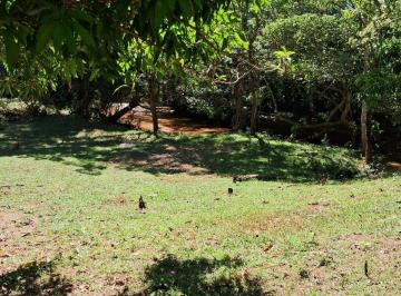 Rural de 2 quartos, Nova Xavantina · Fazenda à Venda em Nova Xavantina - MT
